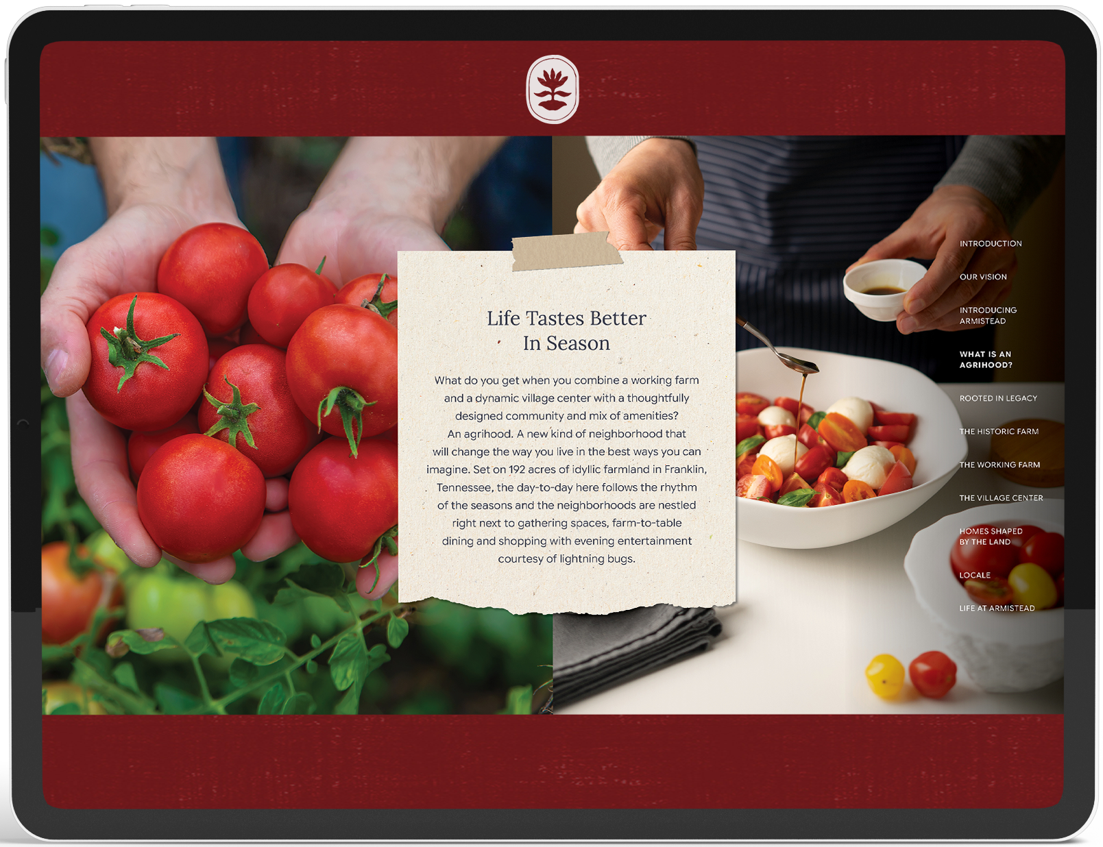 ARM-006-Brochure-Mockup_V3-1