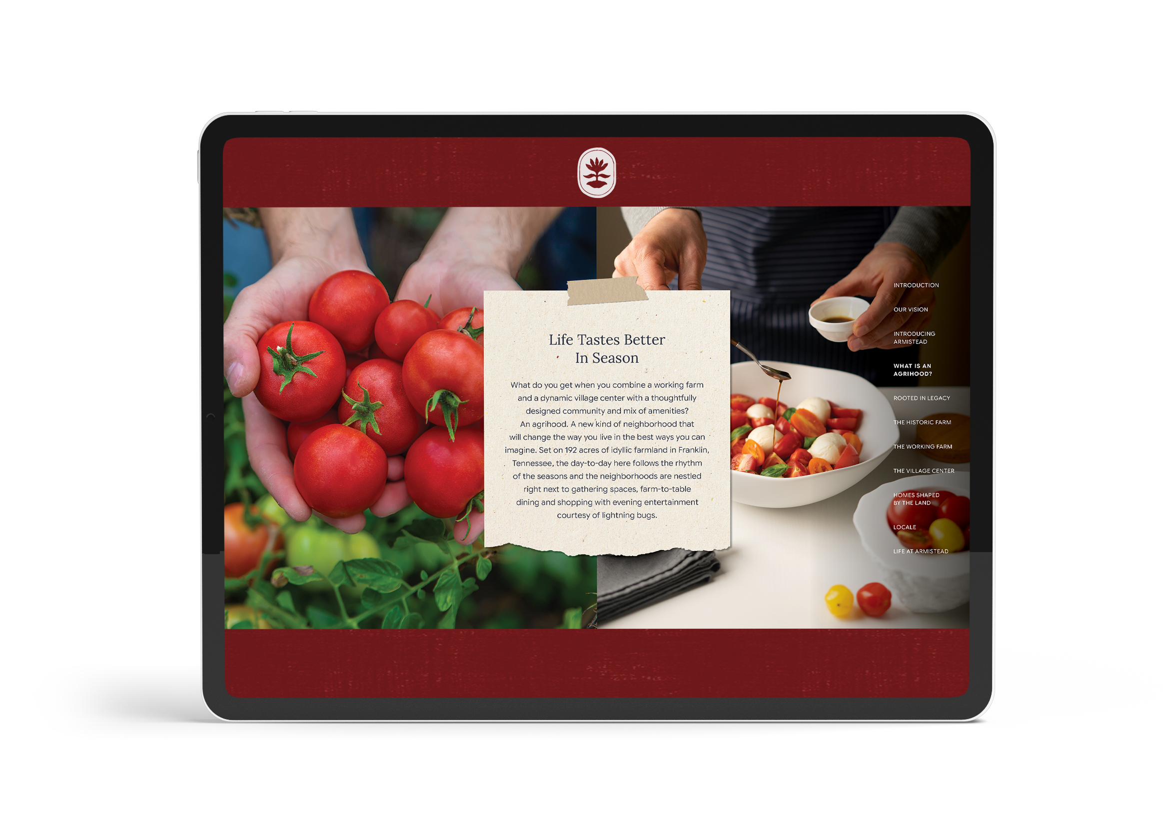 ARM-006-Brochure-Mockup_V3
